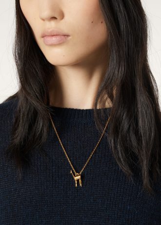 Vicuna ketting